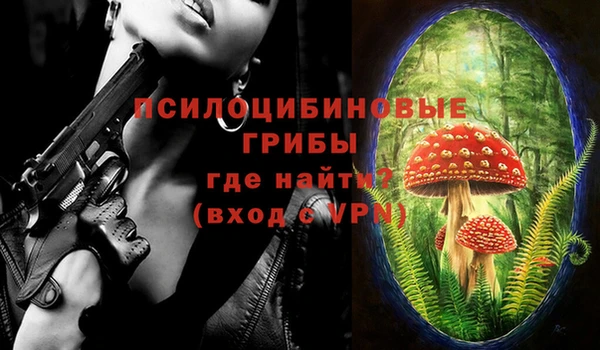 дурь Осташков