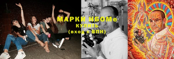 дурь Осташков