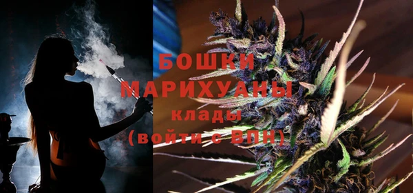 дурь Осташков