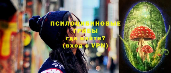 дурь Осташков