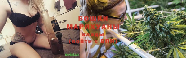дурь Осташков