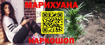 СК Славгород