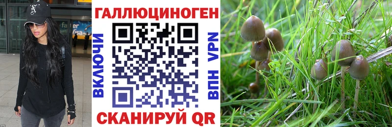 Псилоцибиновые грибы Magic Shrooms  Саратов 