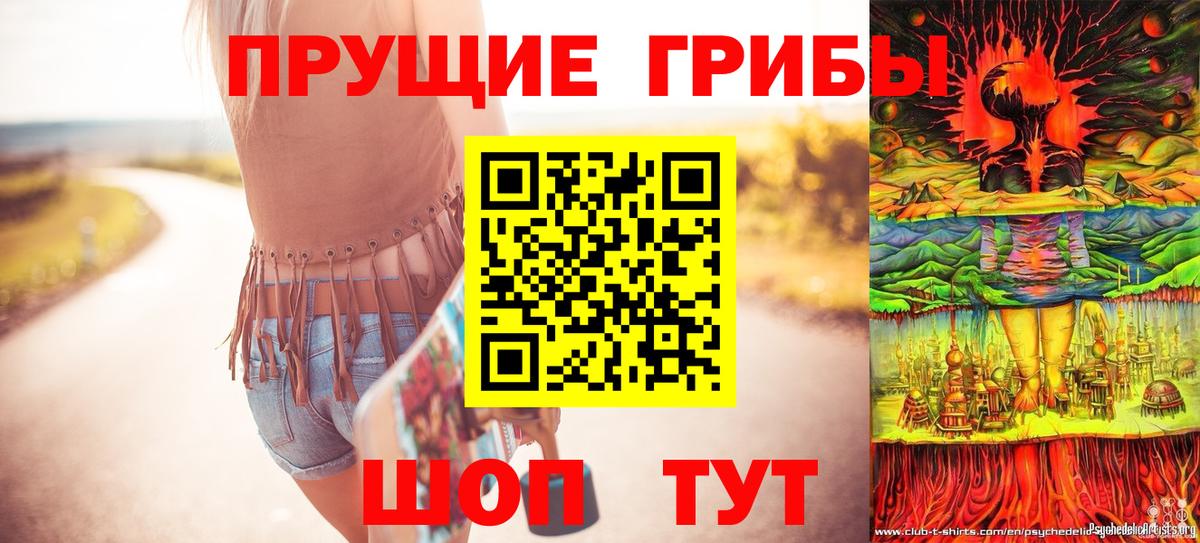 Псилоцибиновые грибы прущие грибы Саратов