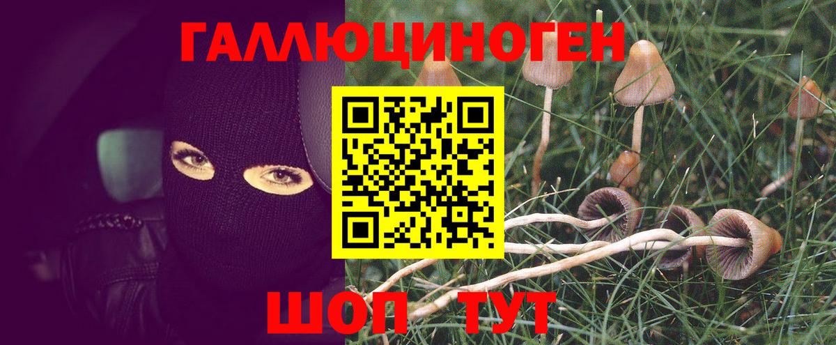 Псилоцибиновые грибы мицелий  Галлюциногенные грибы прущие грибы  Саратов  Вход с VPN 